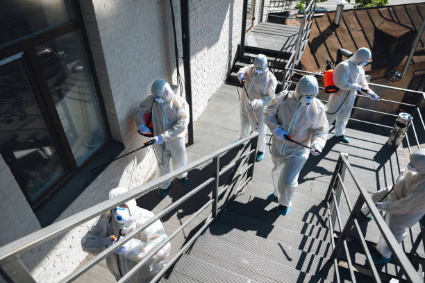 Mold Remediation for Rental Properties in Pompton Lakes, NJ