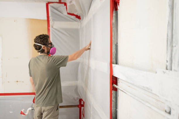 Professional Mold Removal in Pompton Lakes, NJ